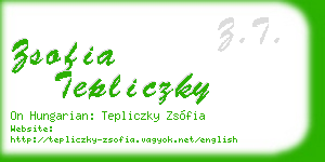 zsofia tepliczky business card